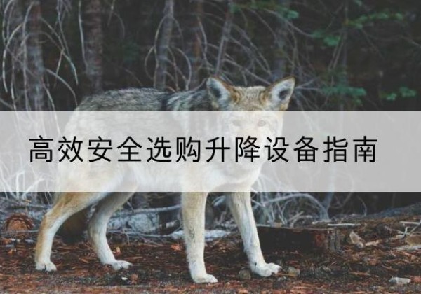 蓬溪升降货梯厂家推荐-*安全选购升降设备指南