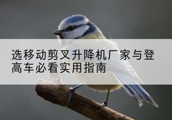 蓬溪电动升降机厂家-选移动剪叉升降机厂家与登高车必看实用指南