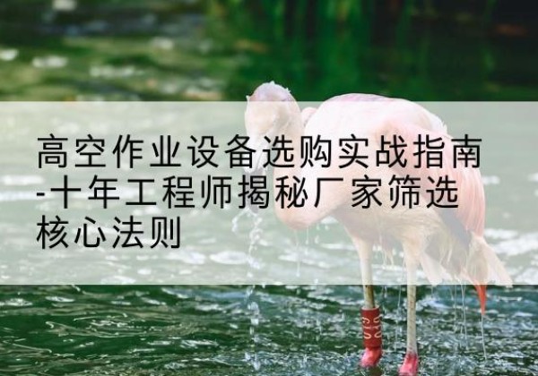 蓬溪剪叉式升降机厂家-高空作业设备选购实战指南-十年工程师揭秘厂家筛选核心法则